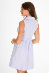 Ridley Dress - Sky Oxford Stripe