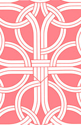 Gripeless Pull On Pants - Ring Toss in Melon