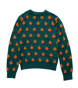 Country Pumpkin Sweater In Green - Women's