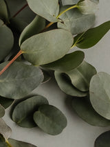 Eucalyptus - Pura Smart Vial (Arcipelago)