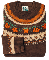 Cozy Pumpkin Sweater in Brown - Women's