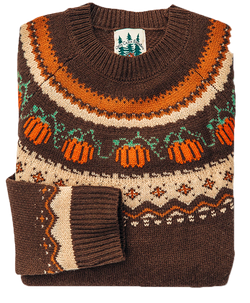 Cozy Pumpkin Sweater in Brown - Women's