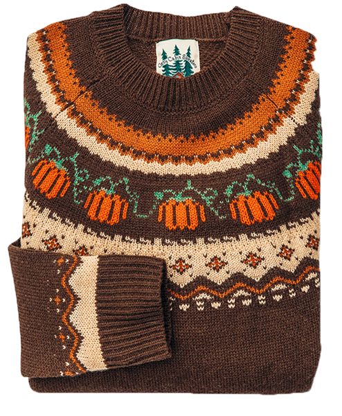 Cozy Pumpkin Sweater in Brown - Women's