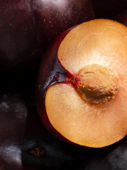 Noel Pura Refill Smart Vial